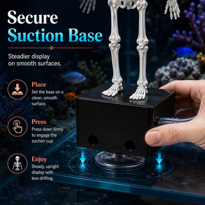 Aquarium Skeleton Wobble Decoration - Moving Skeleton